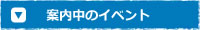 案内中のイベント
